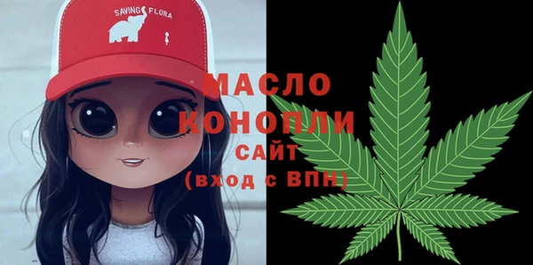 гашик Богородск