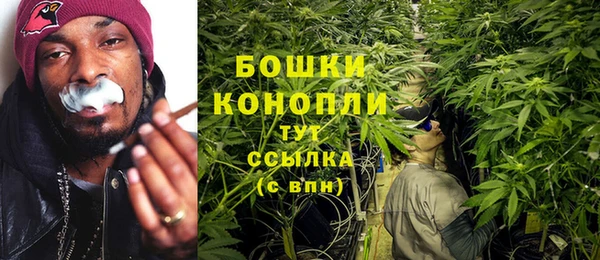 гашик Богородск