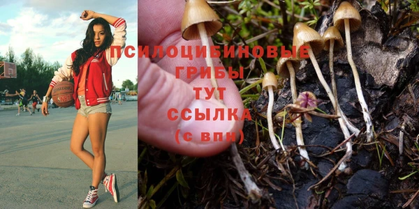 гидропоника Богородицк