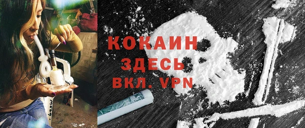 гашик Богородск