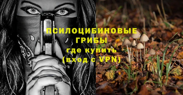 гашик Богородск